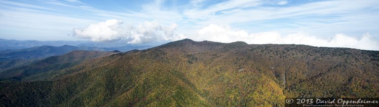Autumn Colors of Foliage in Mount Mitchell State Park
