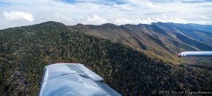 Mount Mitchell State Park in Autumn Colors