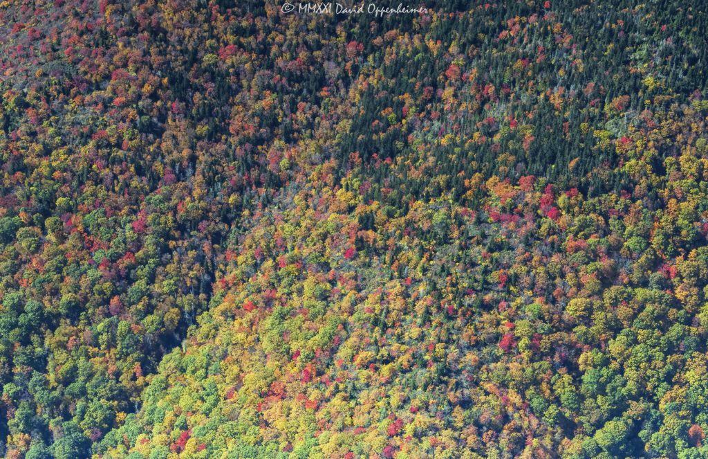 Mount Mitchell State Park peak autumn color aerial view 8942 scaled