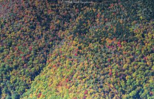 Mount Mitchell State Park peak autumn color aerial view 8942 scaled