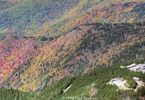 Mount Mitchell State Park peak autumn color aerial view 9023 scaled