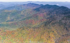 Mount Mitchell State Park peak autumn color aerial view 9043 scaled