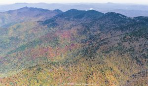 Mount Mitchell State Park peak autumn color aerial view 9051 scaled