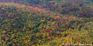 Nantahala National Forest Fall Colors