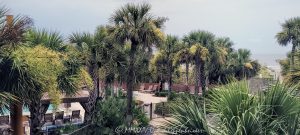 Omni Hilton Head Oceanfront Resort Omni Hilton Head Oceanfront Resort at 23 Ocean Lane on Hilton Head Island, South Carolina - © 2024 David Oppenheimer - Performance Impressions photography archives - https://performanceimpressions.com Omni Hilton Head Oceanfront Resort, Omni, Omni Hilton Head, Omni Hotels, Omni Hotels, Omni Hotels & Resorts, TRT Holdings, Palmetto Dunes Oceanfront Resort Community, 23 Ocean Ln, resort, hotel, oceanfront resort, pool, pools, spa, boutique, golf, golf courses, beach, beachfront, oceanfront, beach access, Bass Head, Bass Head beach, dunes, vacation, Hilton Head, Hilton Head Island, Town of Hilton Head, South Carolina, Lowcountry, Hilton head island real estate, Hilton Head real estate, real estate, palm trees, tropical, vacation, building, architecture, 29928, David Oppenheimer, David Gordon Oppenheimer, United States, color, horizontal, 1-13726821381,