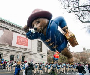 Paddington Bear Macys Thanksgiving Day Parade 4320 scaled