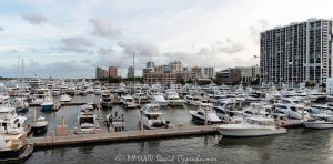 Palm Harbor Marina Yachts and Condos in West Palm Beach, Florida