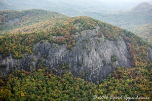 Nantahala National Forest Fall Colors