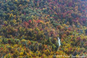 Country Road - Fall Colors Aerial Photo