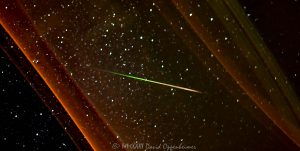 Shooting Star during Perseid Meteor Shower