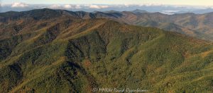 Pisgah National Forest Cold Spring Knob Double Spring Gap aerial view 7988