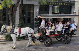 Horse-drawn Carriage for a Wedding at the Planters Inn in Charleston Horse-drawn carriage for a wedding at the Planters Inn in Charleston, South Carolina - © 2024 David Oppenheimer - Performance Impressions photography archives - https://performanceimpressions.com horse-drawn carriage, horse & buggy, carriage, wedding, Planters Inn, historic, old fashioned, horse & carriage, ride, historic district, downtown, weddings, 112 N Market St, Charleston, SC, 29401, inn, Charlestowne Hotels, architecture, building, hotel, resort, luxury, weddings, Charleston, South Carolina, David Oppenheimer, David Gordon Oppenheimer, United States, horizontal, color, 1-13726821381,