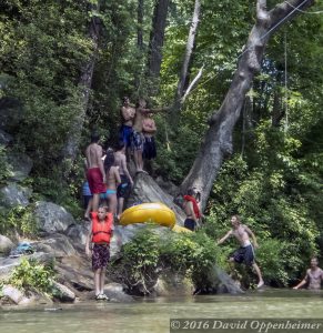 Rope Swing on the Green River