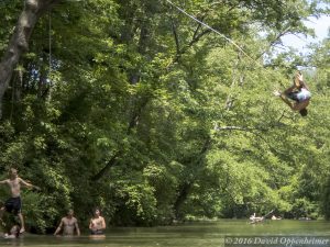 Rope Swing on the Green River