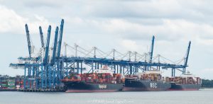 SCSPA Wando Welch Terminal in Mount Pleasant, South Carolina