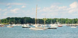 Sailboats in Larchmont Harbor