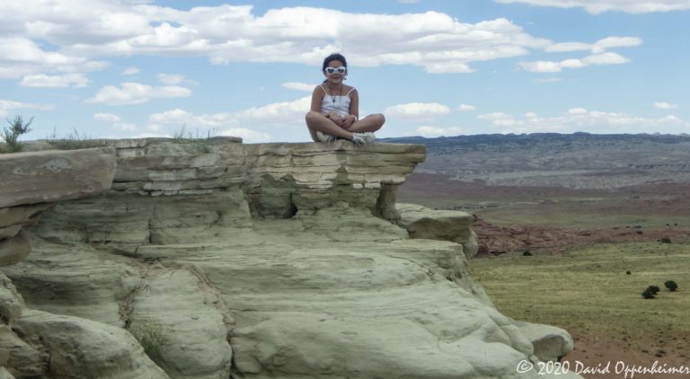 Salt Wash View Area Utah