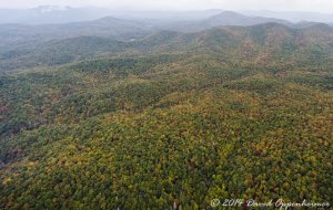 Nantahala National Forest Fall Colors