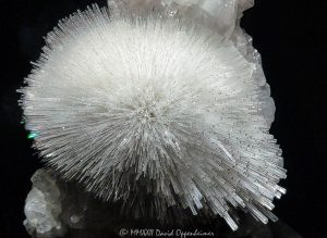 Scolecite Spray Cluster Formation at the Denver Museum of Nature & Science Coors Gems and Minerals Hall