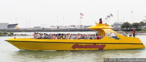 Seadog Chicago Speedboat