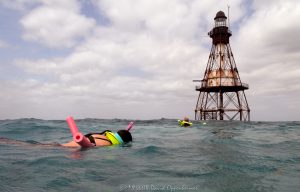 Snorkeling at Fowey Rocks Lighthouse
