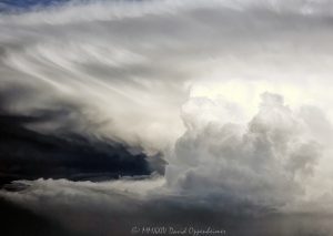 Flying by a Cumulonimbus Supercell Storm Cloud at Altitude Flying by a Cumulonimbus supercell storm cloud with an anvil at altitude - © 2024 David Oppenheimer - Performance Impressions photography archives - https://performanceimpressions.com supercell, supercell storm cloud, Cumulonimbus, anvil, altitude, jet, plane, aerial, aerial view, wall cloud, storm, meteorology, weather, stormy, thunderstorm, cloud, precipitation, David Oppenheimer, horizontal, severe weather, wall cloud, Mesocyclone, formation, anvil cloud, high-altitude, extreme weather, atmosphere, color, aerial, aerial view, aerial photography, aerial photographer, United States, 1-13985601741,
