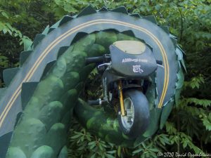 Tail of the Dragon at Deals Gap