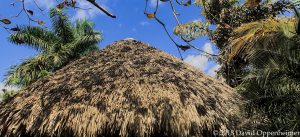 Thatched Roof Hut in Jamaica