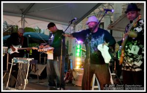 The Lee Boys at Asheville Earth Day 2011