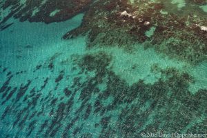 Turquoise Caribbean Ocean Water in Jamaica Aerial Photo