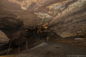 Tuckaleechee Caverns Stalagmites
