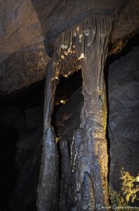 Tuckaleechee Caverns Stalagmites