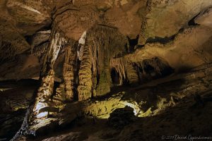 Tuckaleechee Caverns Stalagmites