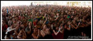 Bonnaroo Music Festival Crowd at Wanda Jackson Concert