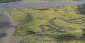 West Marsh Island in North Charleston, South Carolina Aerial View