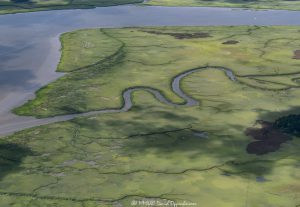 West Marsh Island in North Charleston, South Carolina Aerial View