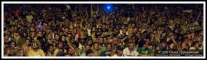 Bonnaroo Crowd