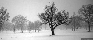 Winged Foot Golf Club