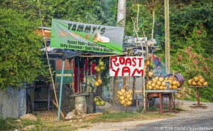 Yammy's Roast Yam Store in Jamaica