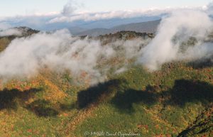 Yellow Face Mountain Browning Knob Overlook Blue Ridge Parkway autumn colors aerial face 7545
