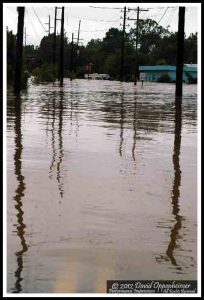 Asheville Flood