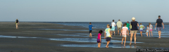 Capers Island State Heritage Preserve
