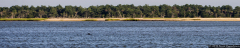 Capers Island State Heritage Preserve