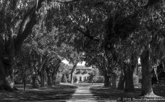 Oakland Plantation House in Mount Pleasant, South Carolina